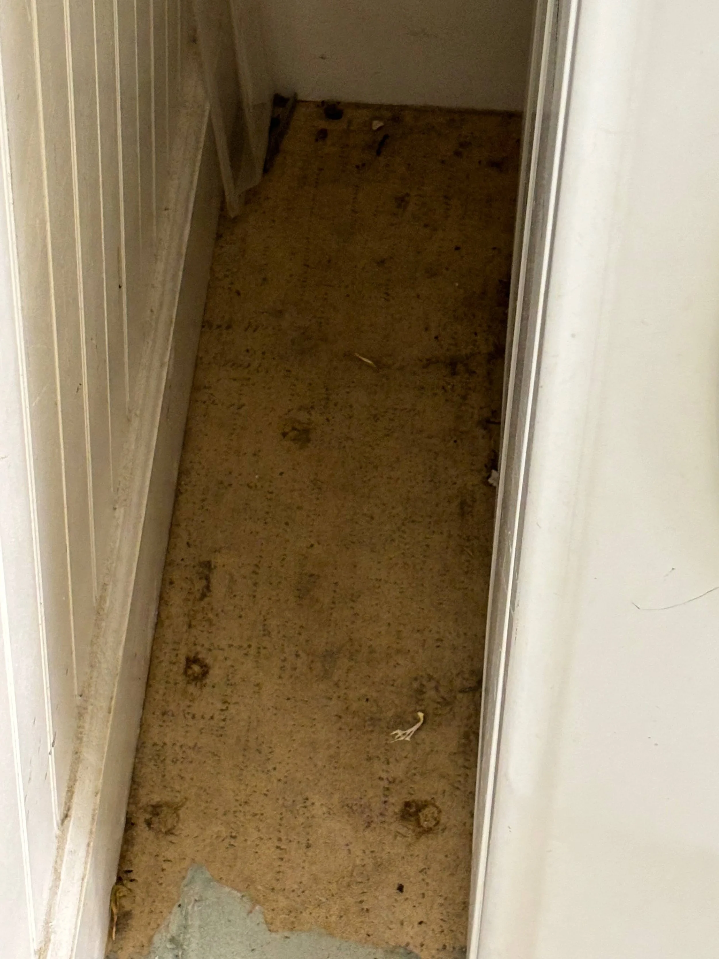 Laundry, recycle trach 4.png