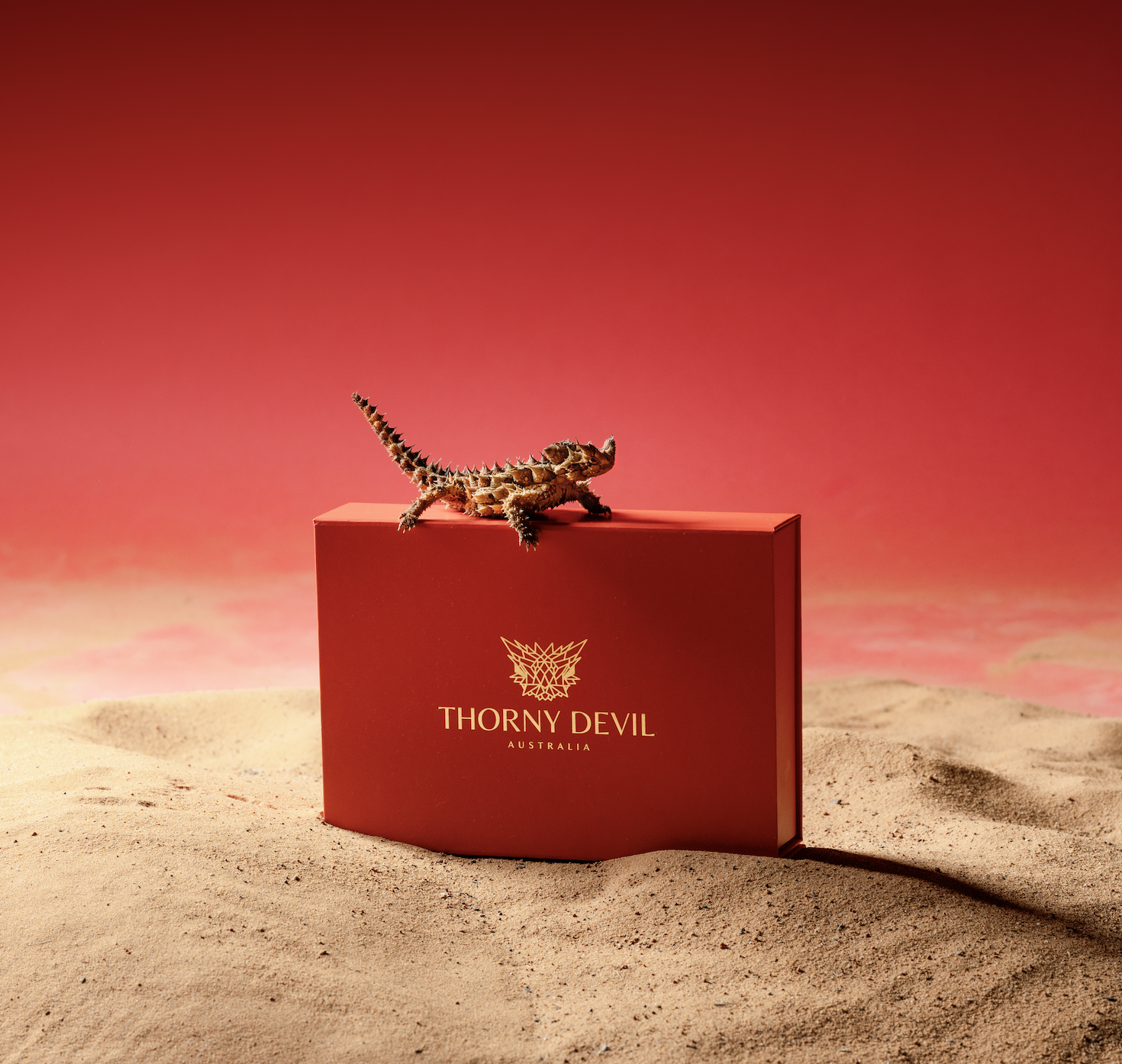 Screen Shot 2026-01-29 at 12.31.29 pm.png