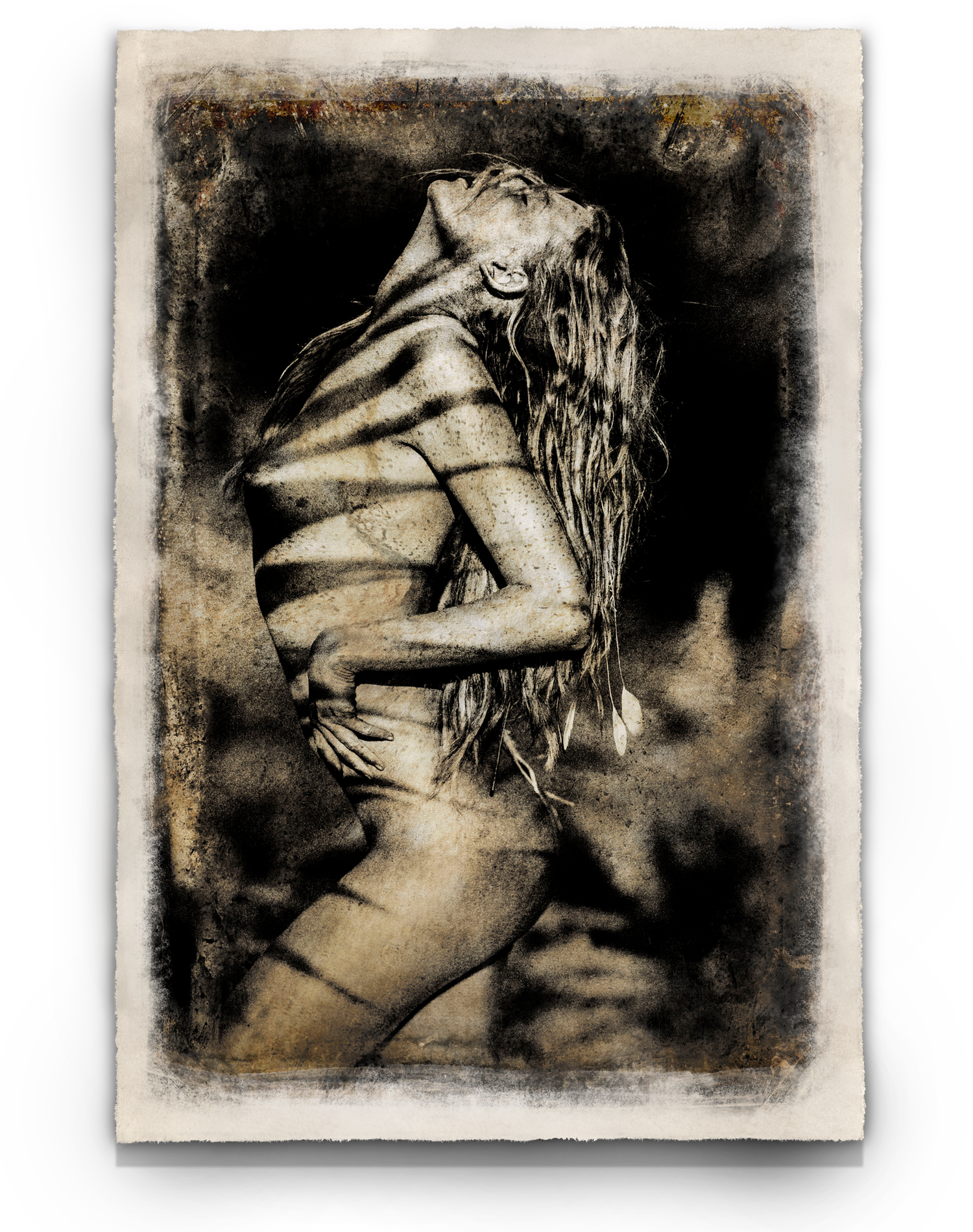 Shadow Visions, 2014