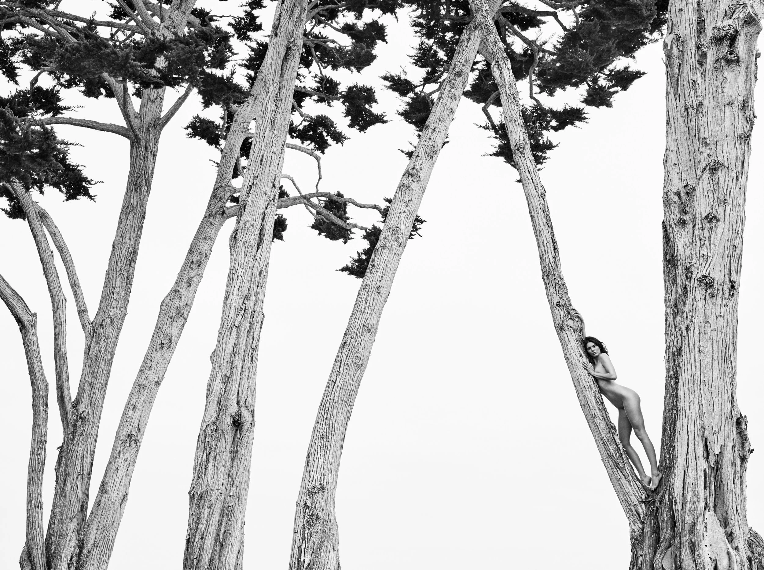 Kendall in Treetops, Santa Barbara, 2018