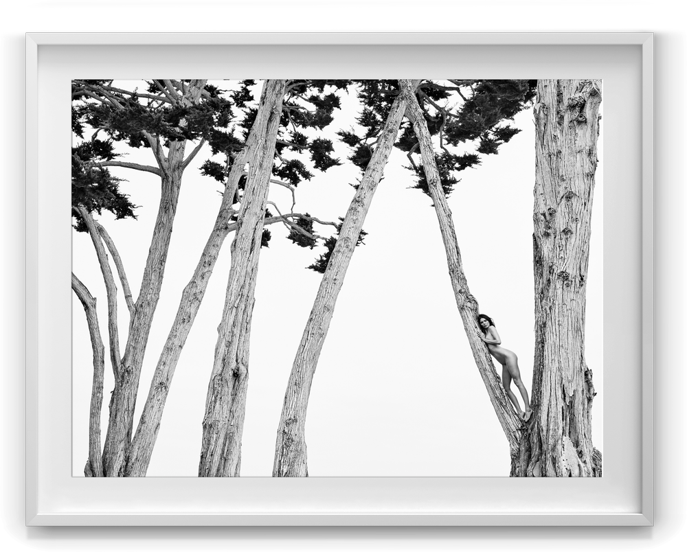 Kendall+in+Treetops,+Santa+Barbara,+2018_A-25_W_Frame.webp
