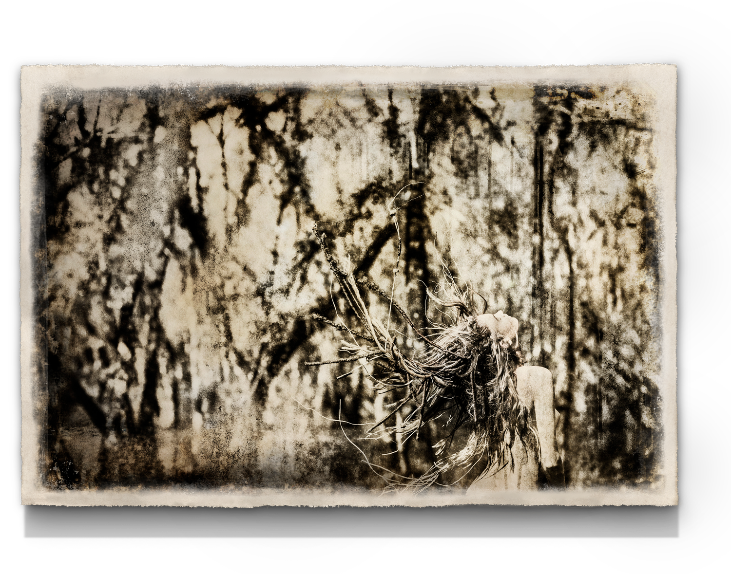 Free Spirit, 2014