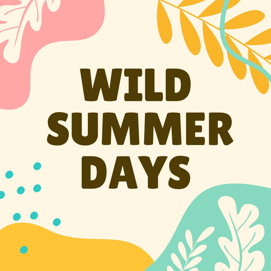 Wild Summer Days • 16 Jan • Pop-Up Play • Lincoln