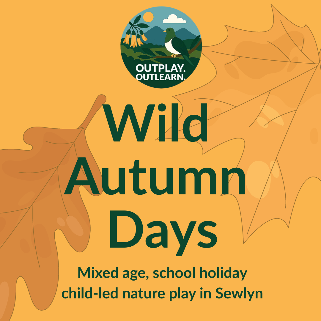 Wild Autumn Days • Fri 17 Apr • Mixed Age Holiday Play • Lincoln