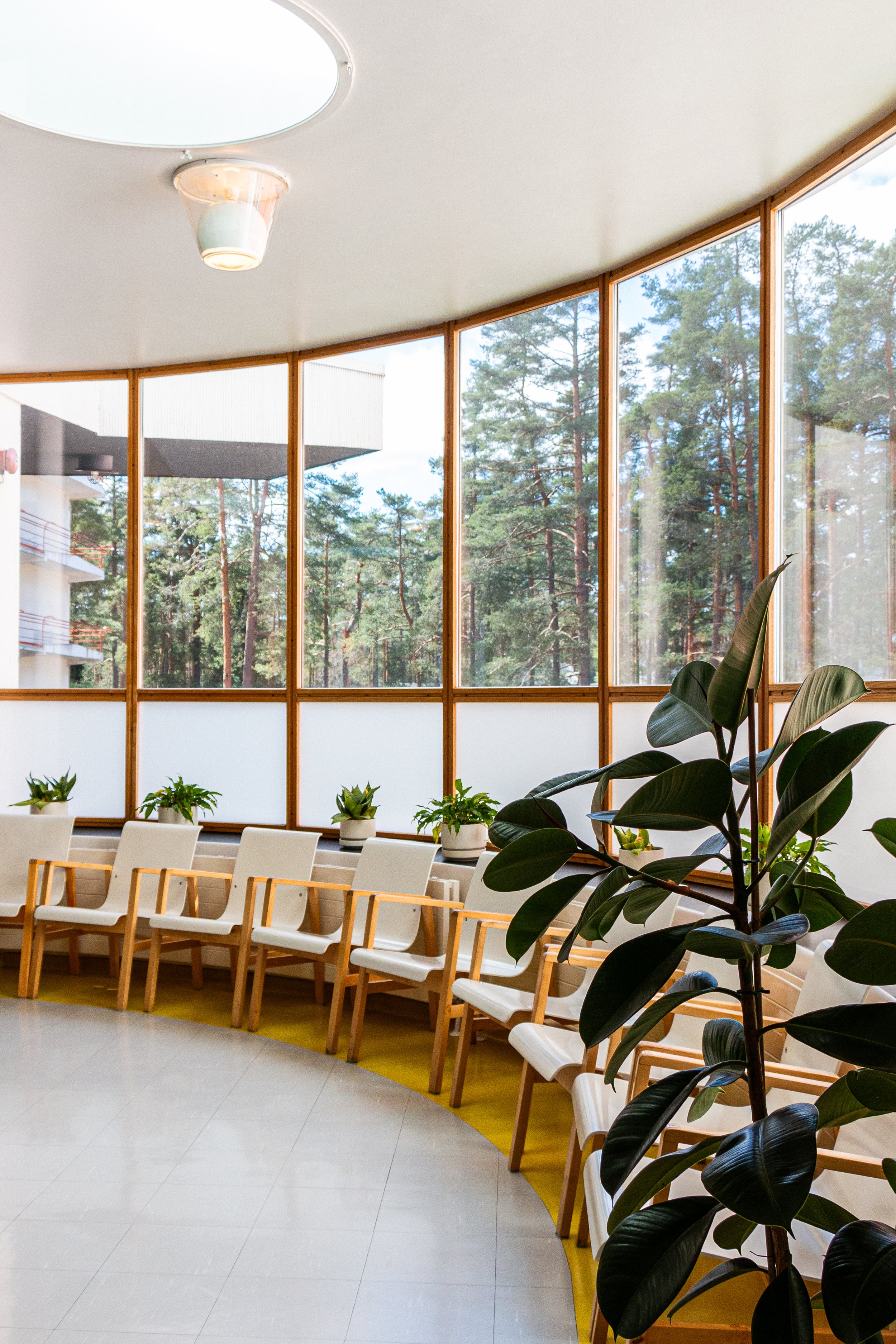 A waiting area with a row of white chairs with wooden frames, small potted plants on the windowsill, and large windows showing a forest outside.