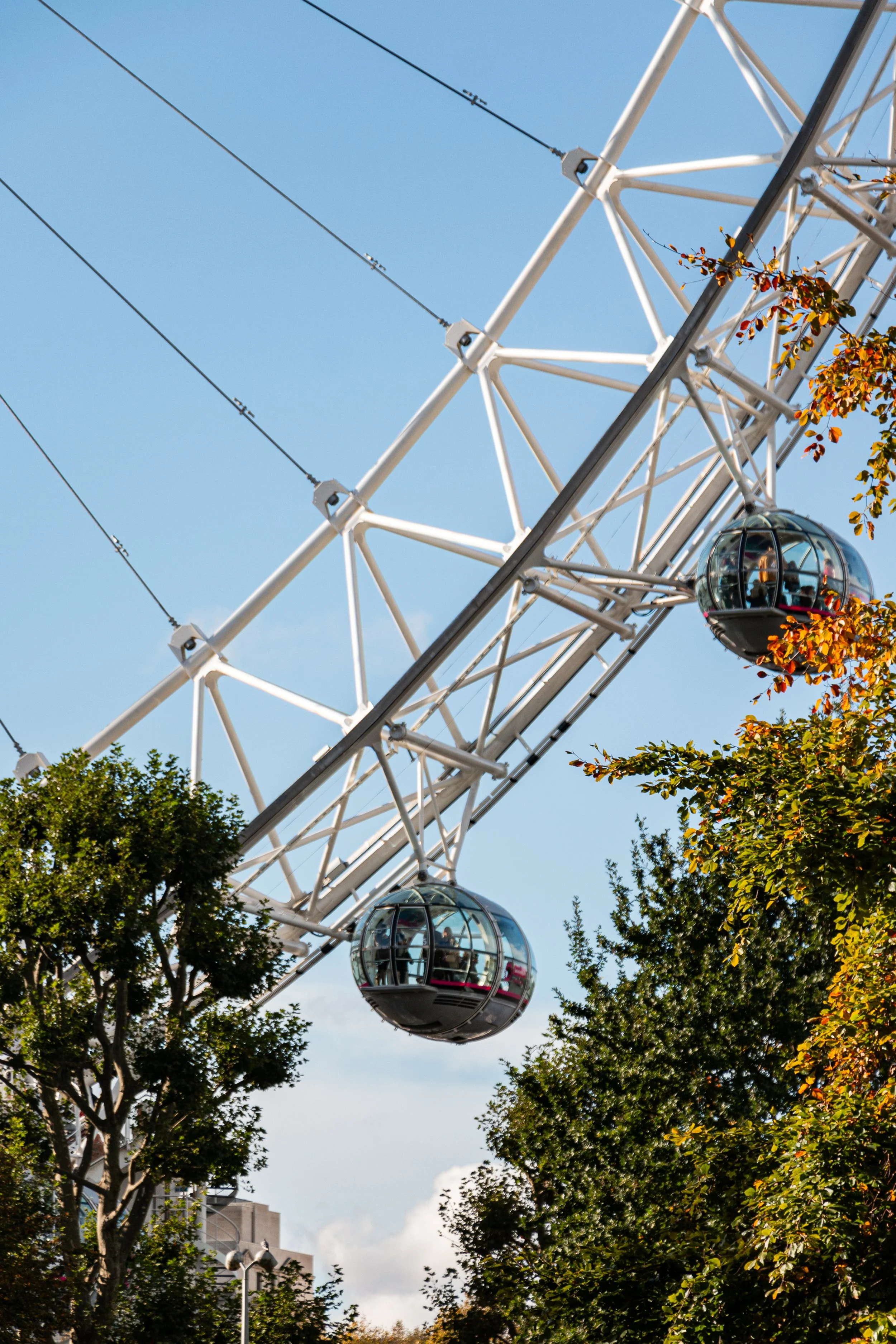 Ferris wheel with glass capsules, trees with green and orange leaves, blue sky with some clouds.