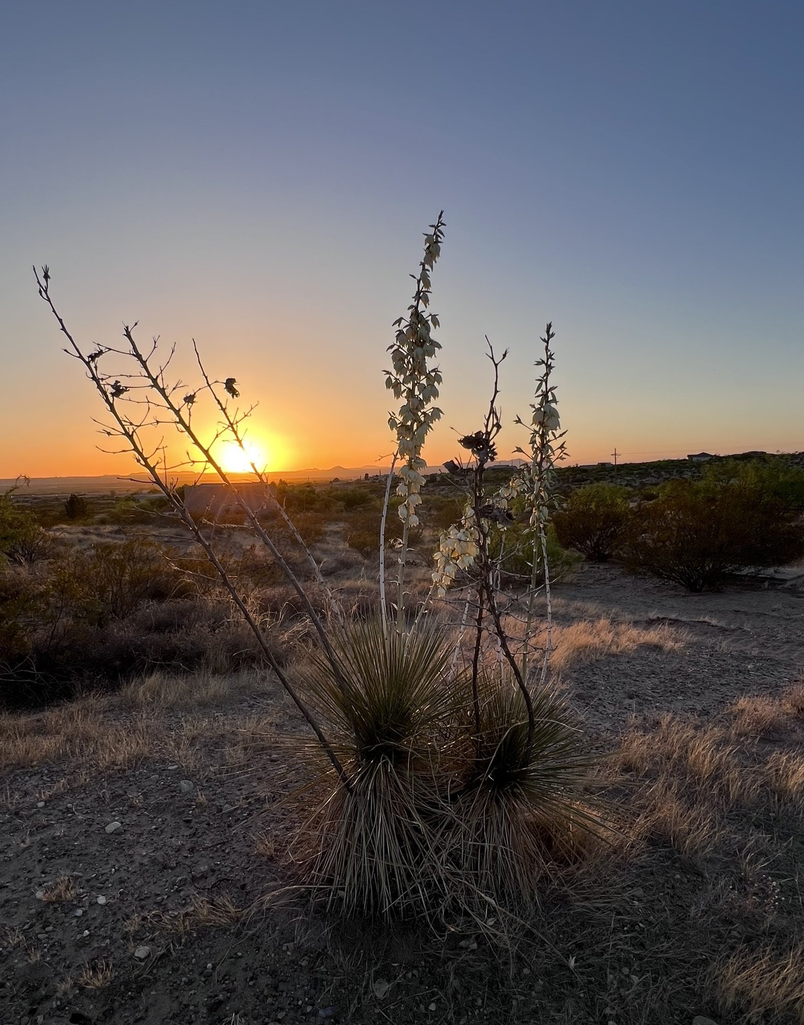 What to Do in 30 Days Workshop