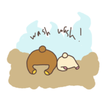 Two creatures, one brown and one white, sitting in a muddy area with water splashing and the word "wash" written above.