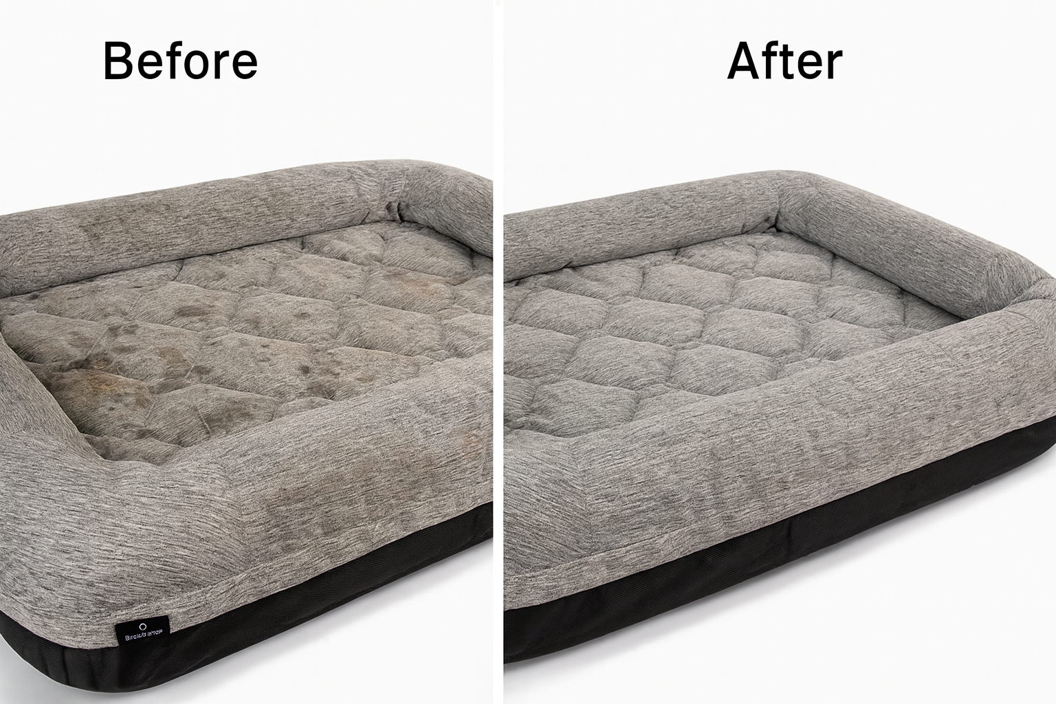 ChatGPT Image Aug 11, 2025, 01_49_49 AM.png