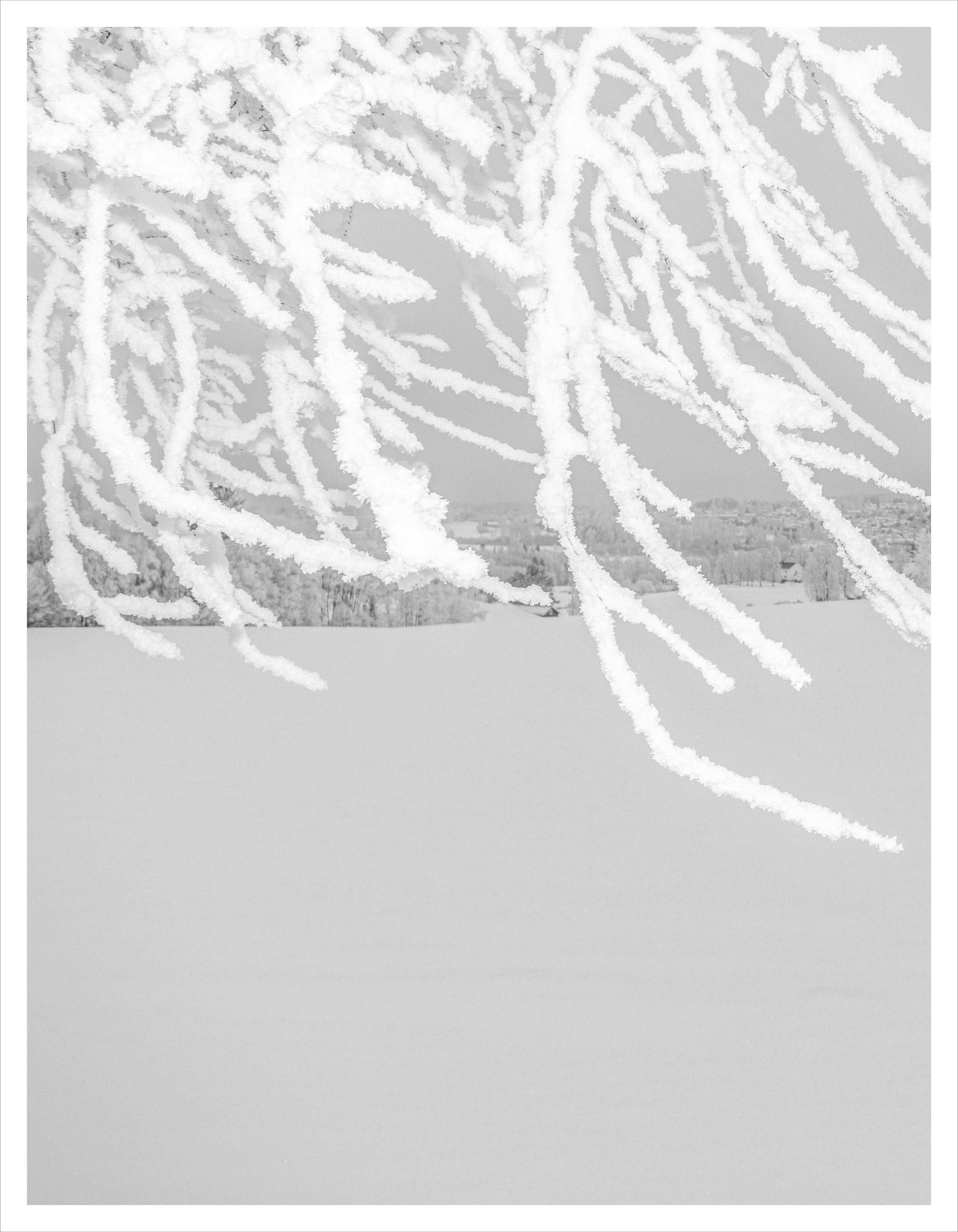 Erik Nordby, Untitled (2026) Ongoing book project.