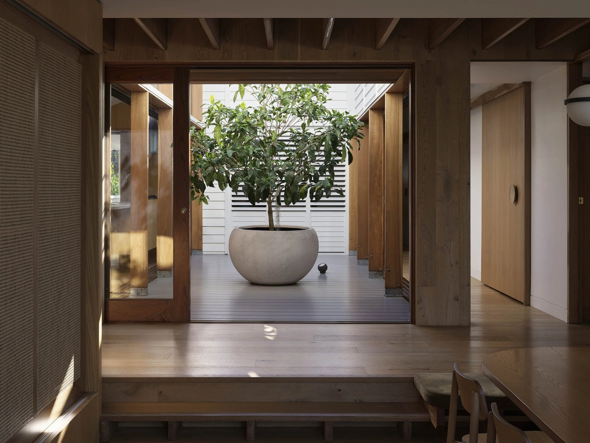 View of a spacious indoor-outdoor area with a large potted plant on a wooden deck, surrounded by wooden and white panel walls, with a glimpse of a dining area with chairs in the foreground.
