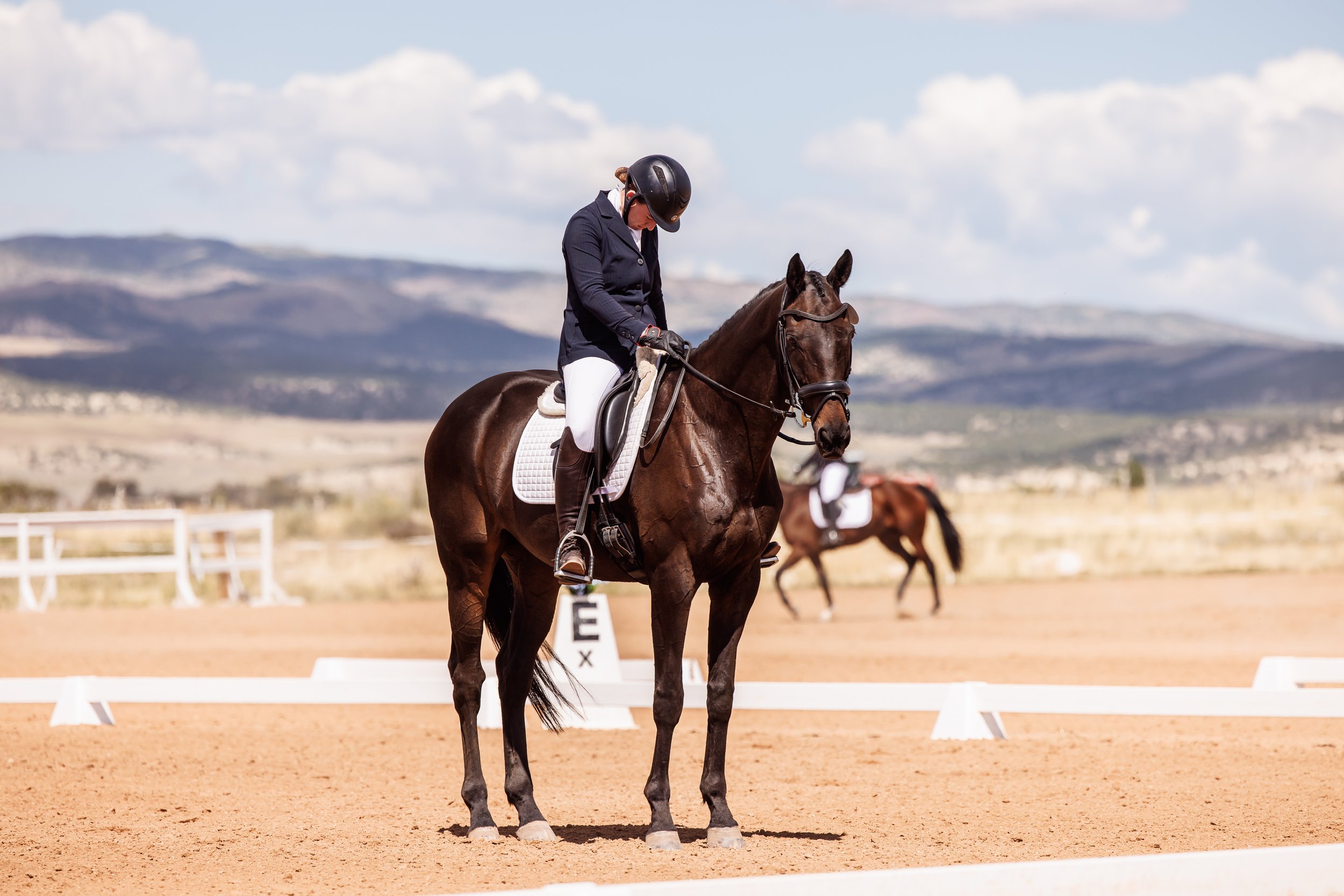 skyline dressage 2-10.jpeg