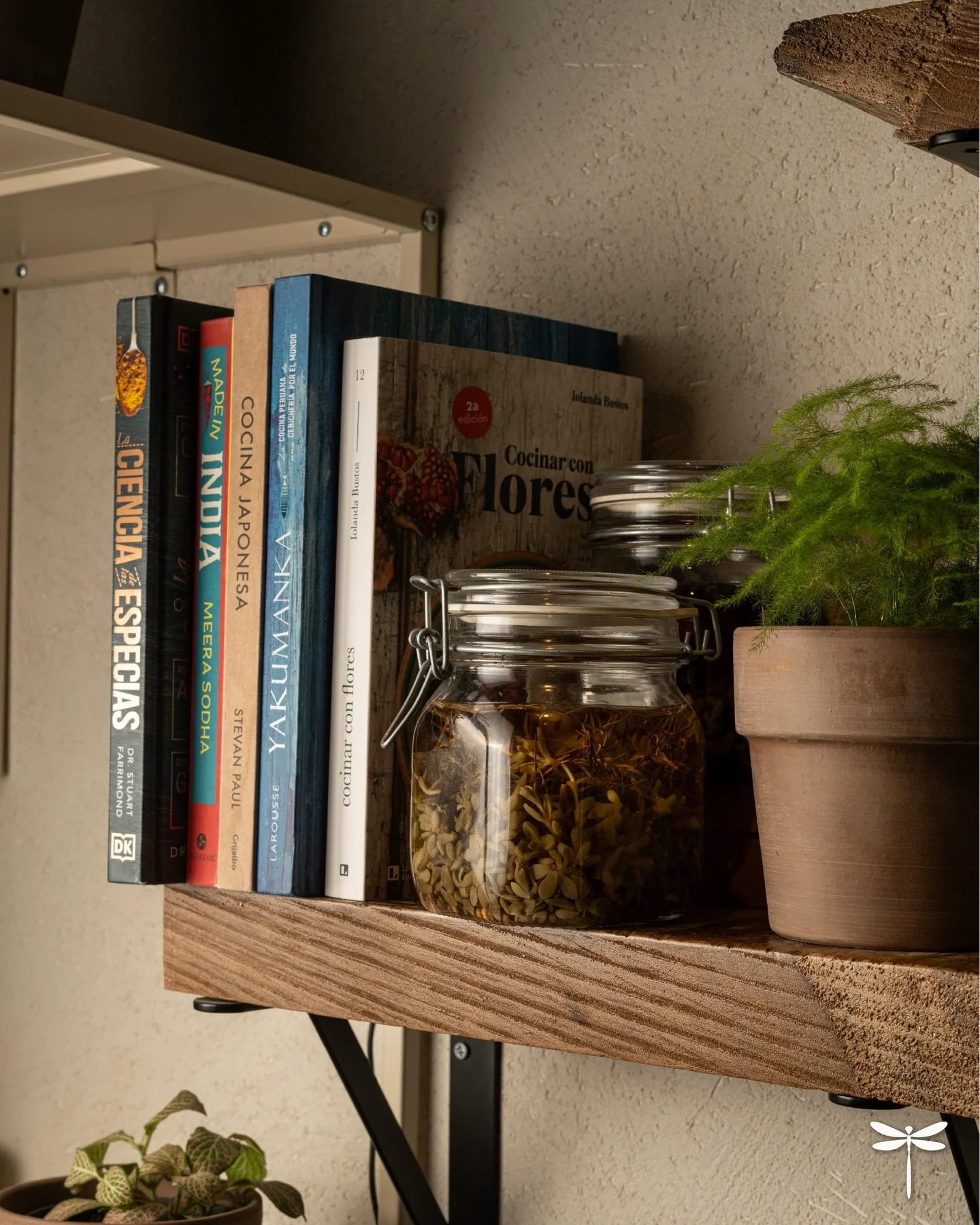Cada rinc&oacute;n de Pipilacha refleja lo que Ar&aacute;n y No&eacute; sue&ntilde;an: que la naturaleza se sienta en todos tus sentidos. 🌸
