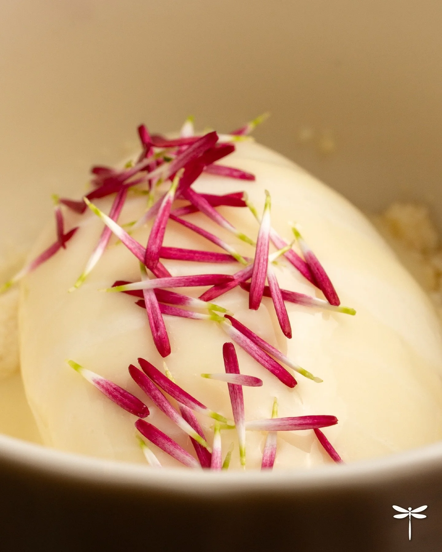 El tupinambo es pura elegancia subterr&aacute;nea. Es una ra&iacute;z que guarda notas de frutos secos tostados y una dulzura profunda que solo se revela con la t&eacute;cnica adecuada.

En Pipilacha no maquillamos el producto. Lo hemos convertido en