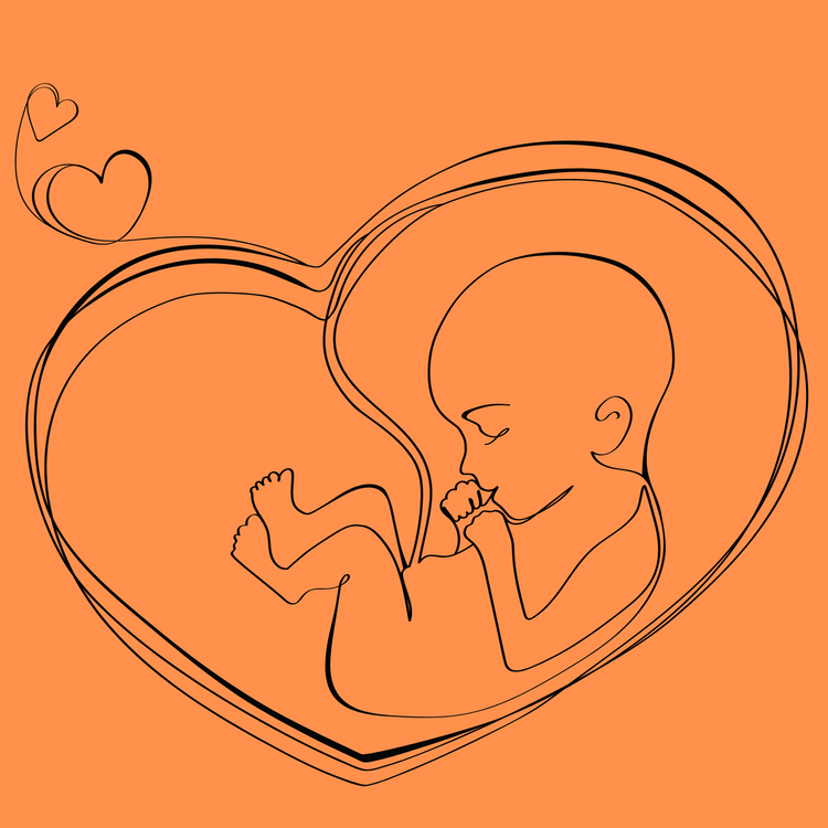 Line drawing of a baby curled up inside a heart shape, with two smaller hearts in the top left corner, all set against an orange background.