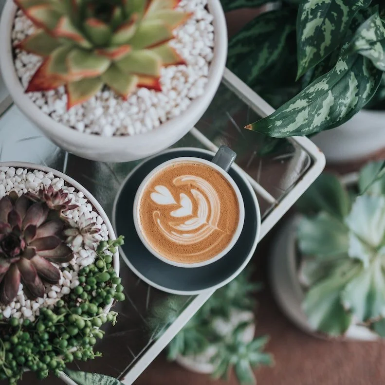 How to Go Viral on Instagram