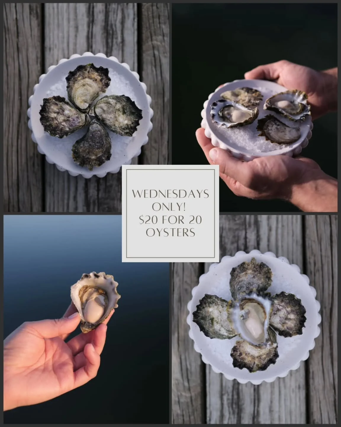 📣Announcement - Starting Wednesday 22nd October 2025 

Wednesdays are for oysters! 🦪

Get 20 fresh Wallis Lake oysters for $20, perfectly shucked, chilled, and ready to take away.

DM us the day before to guarantee your tray (or two!). 

📍 Shop 2/