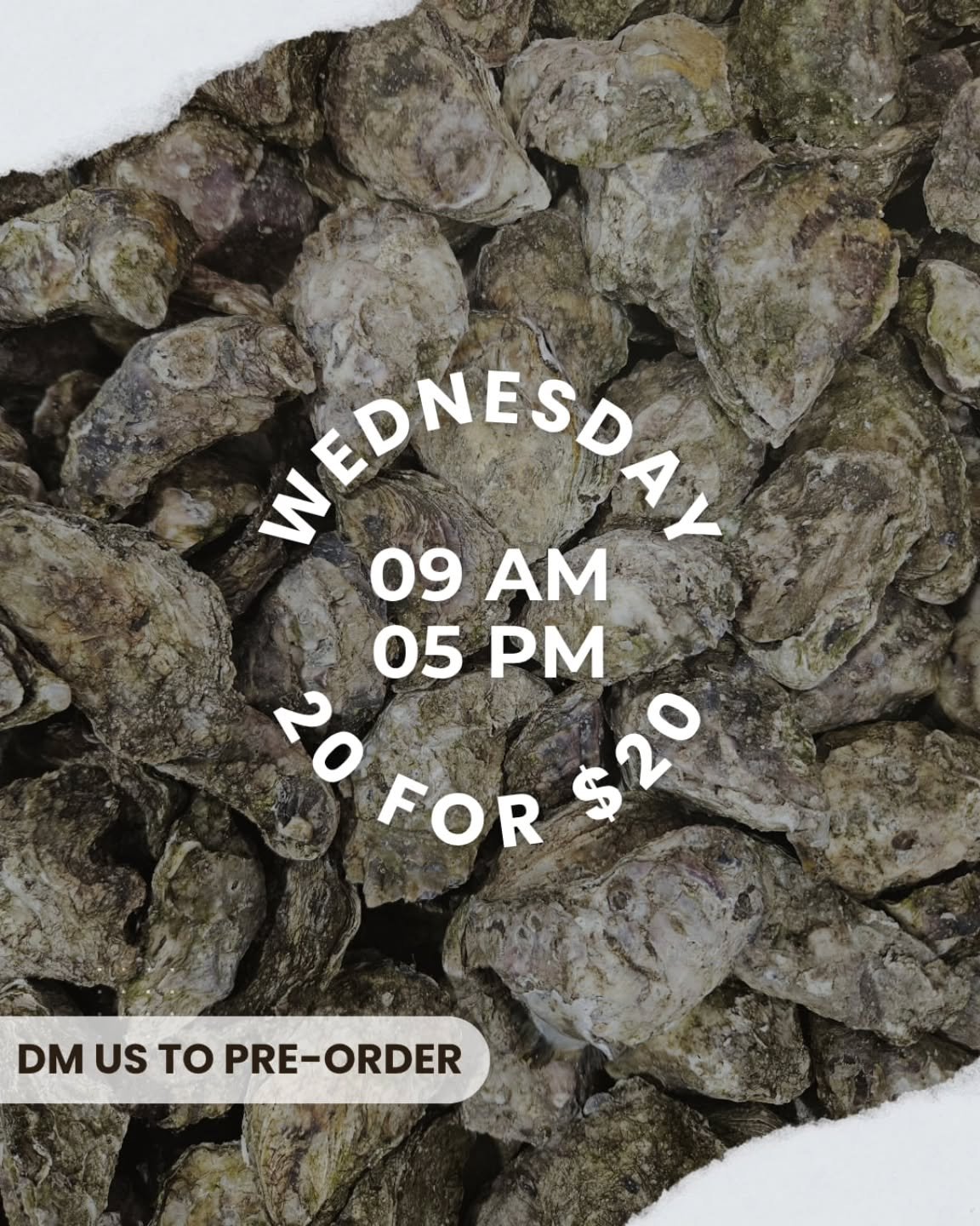 Wednesday Oyster Day! 

Don&rsquo;t wait for the sell-out! Pre-order your 20 for $20 oysters today and enjoy the freshest deal around.

📍 Shop 2/57-59 Wharf Street Forster NSW 2428