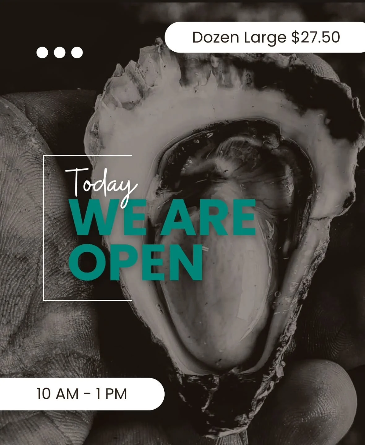 Come on down and grab a dozen large oysters for just $27.50!
Fresh, local, and ready to go.
We&rsquo;re open 10am &ndash; 1pm, so get in early before they&rsquo;re gone!