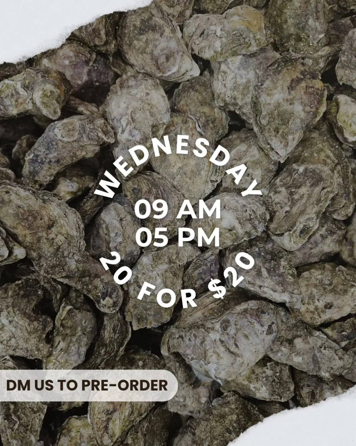 Wednesday Oyster Day! 

Don&rsquo;t wait for the sell-out! Pre-order your 20 for $20 oysters today and enjoy the freshest deal around.

📍 Shop 2/57-59 Wharf Street Forster NSW 2428