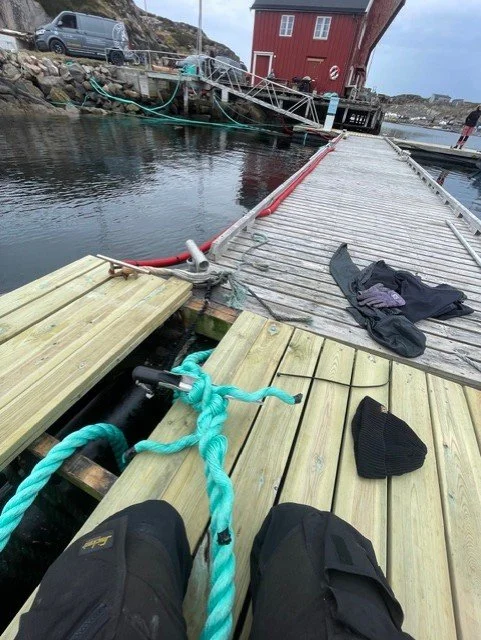 c440da03-7e5c-4ac3-bc00-4180480a3923.jfif