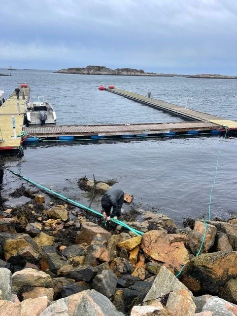 93c9b1b4-6434-44d3-a4cb-d8344ee5107d.jfif