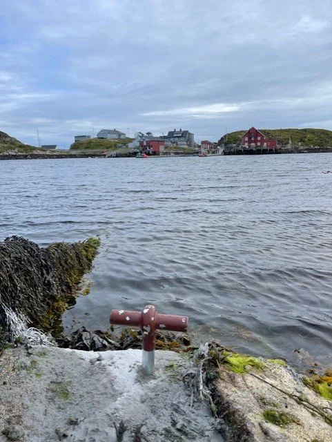 d740eead-0f23-4f6a-b416-14560eeac16d.jfif