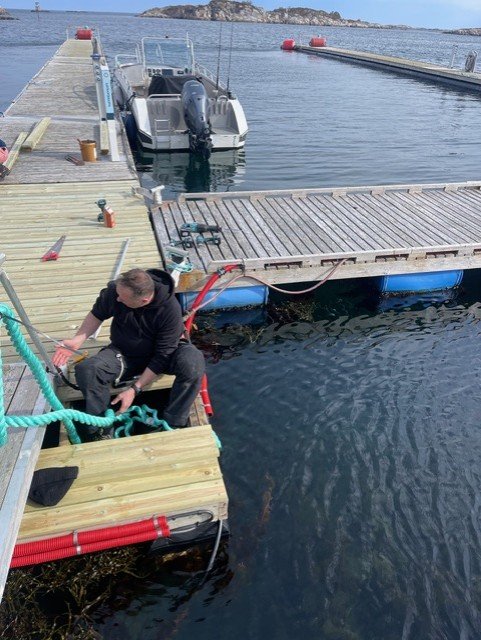 81f88018-e6b6-46bc-ac03-3068b0961d70.jfif