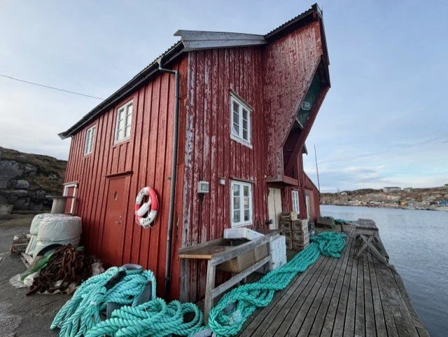 46c8e6f3-3204-4622-ae7f-9fddf1d6fb2e.jfif