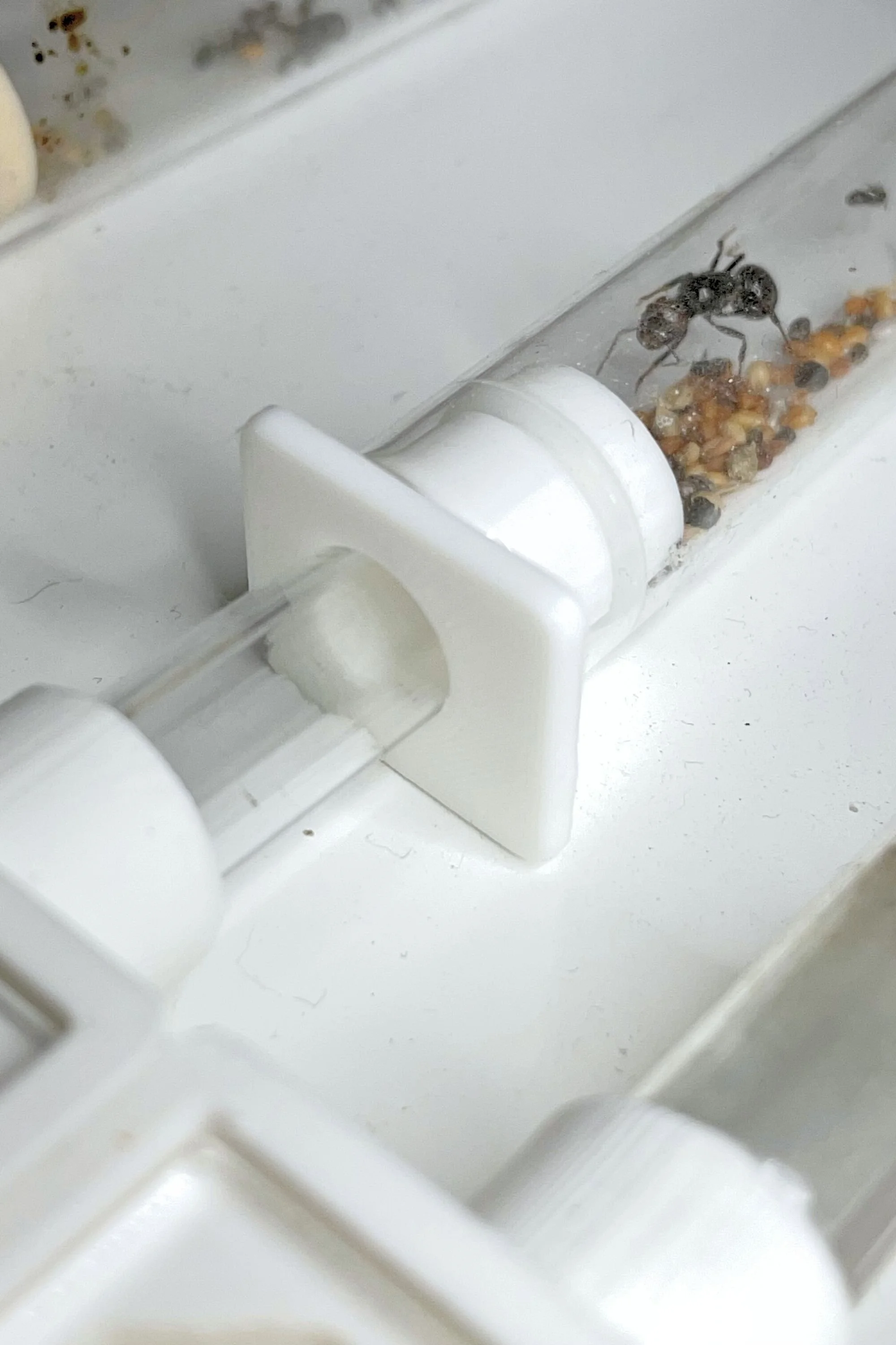 adaptateur en utilisation.jpg