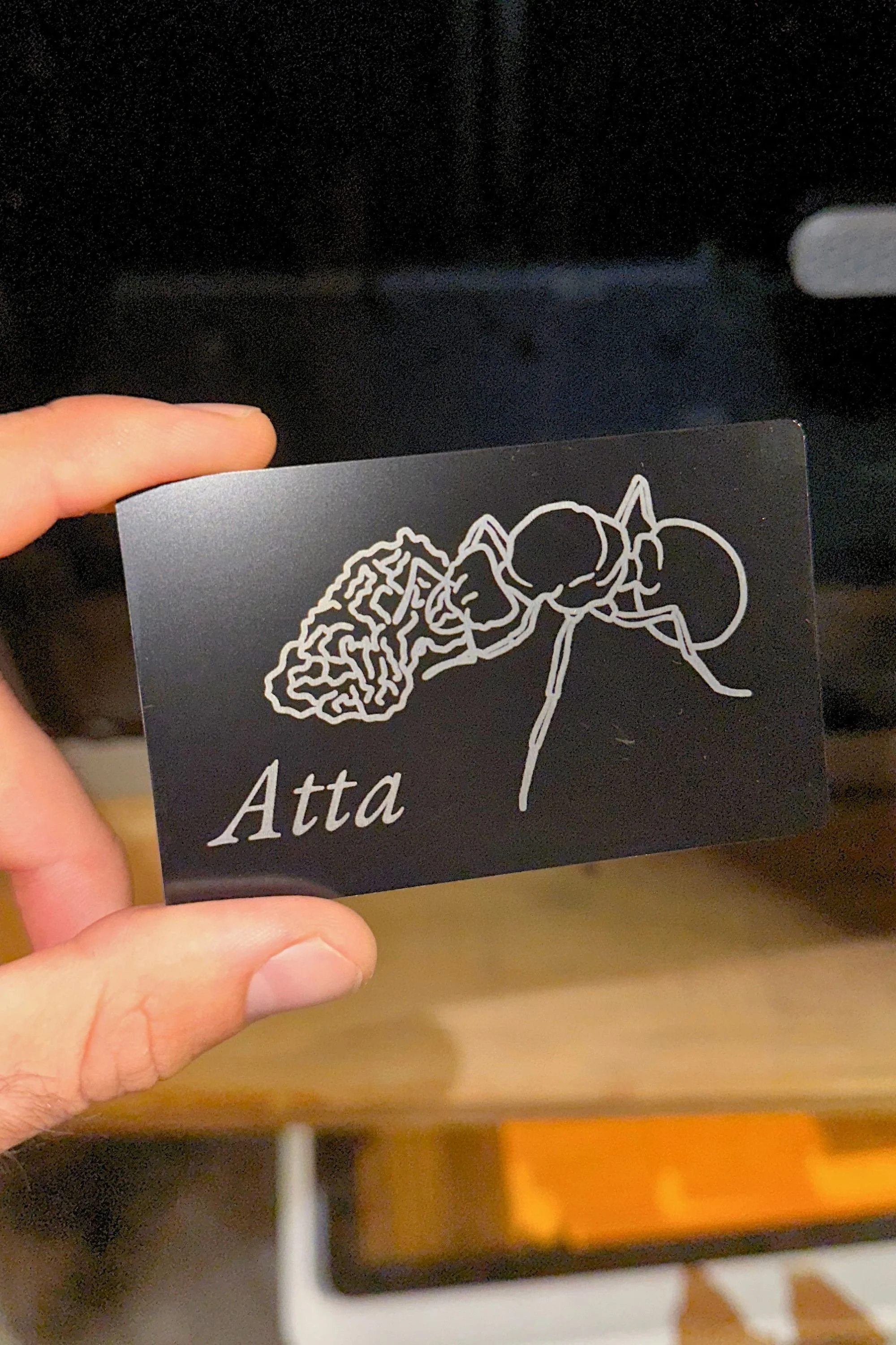 Carte espèce illustrée