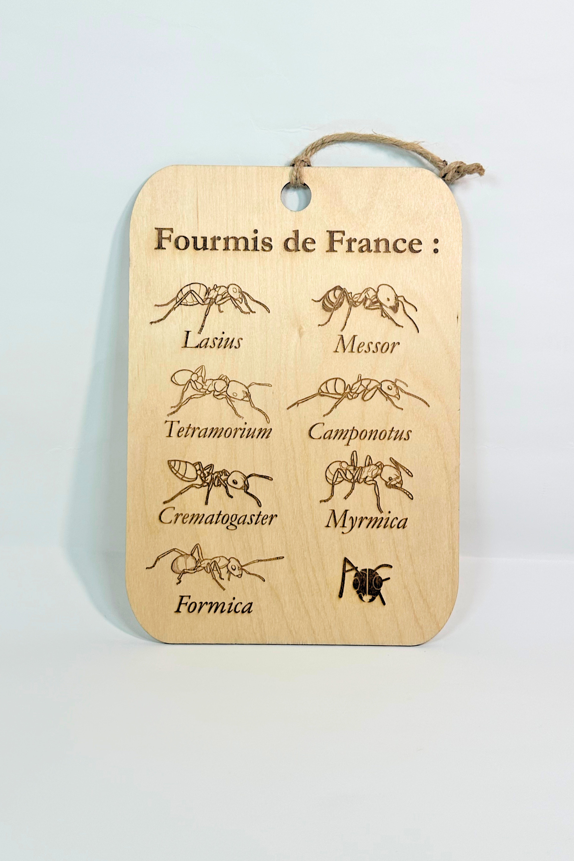 Tableau Fourmis de France