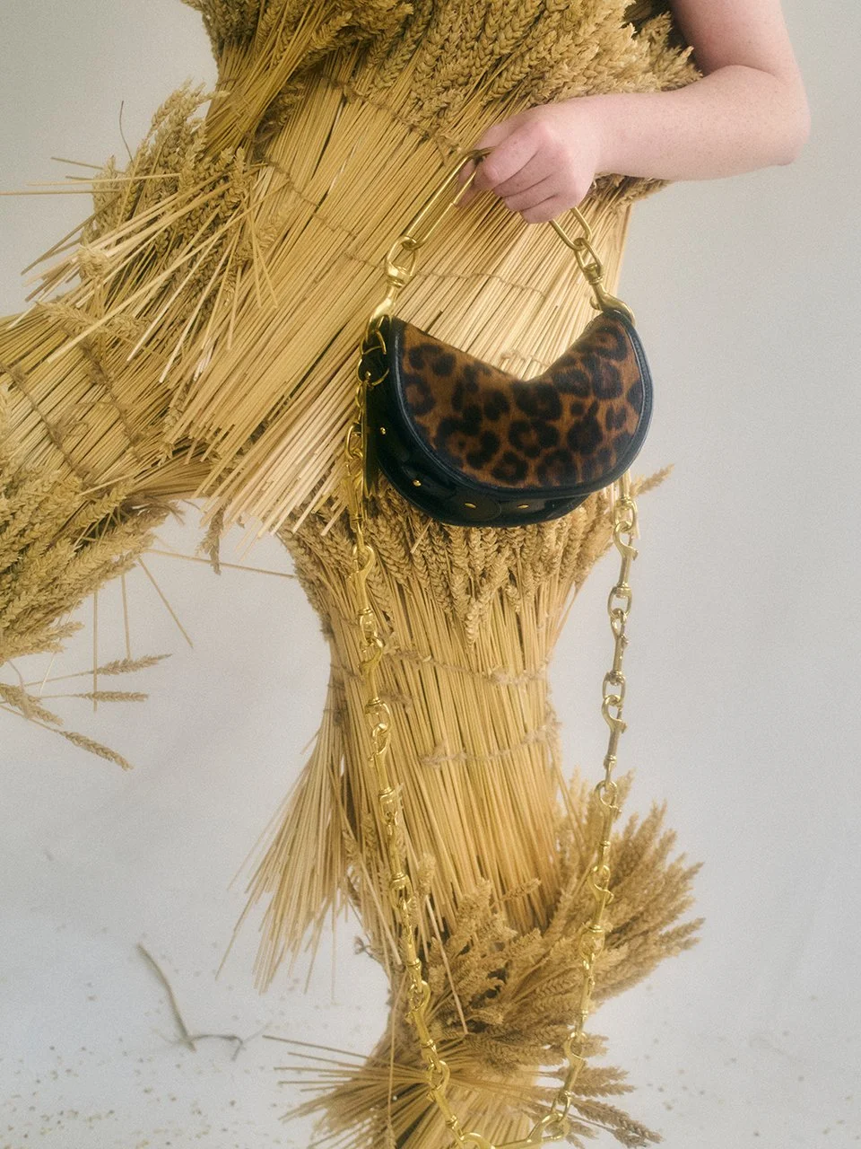 NIGEL SMALL GRAB LEOPARD 01.jpg