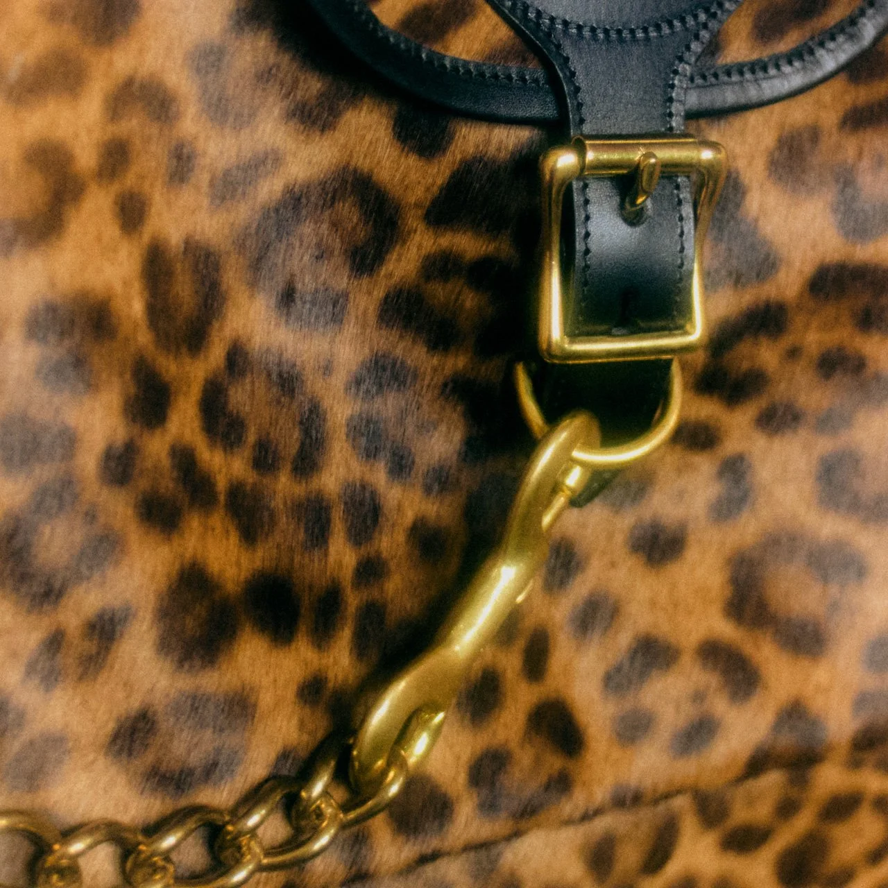 Close-up of a gold chain and a black leather strap with a gold buckle on a leopard print fabric.