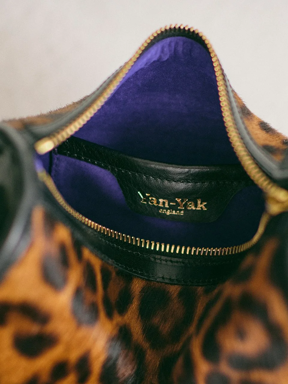 NIGEL SMALL GRAB LEOPARD 05.jpg