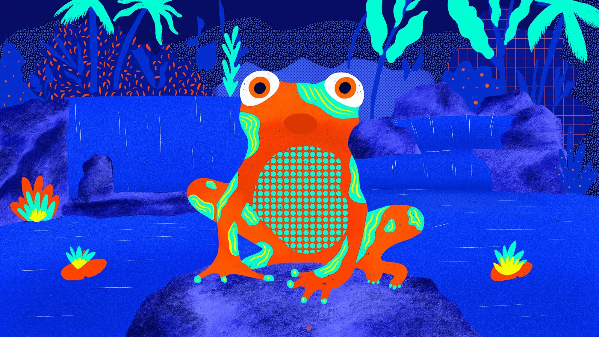 8_grenouille.jpg