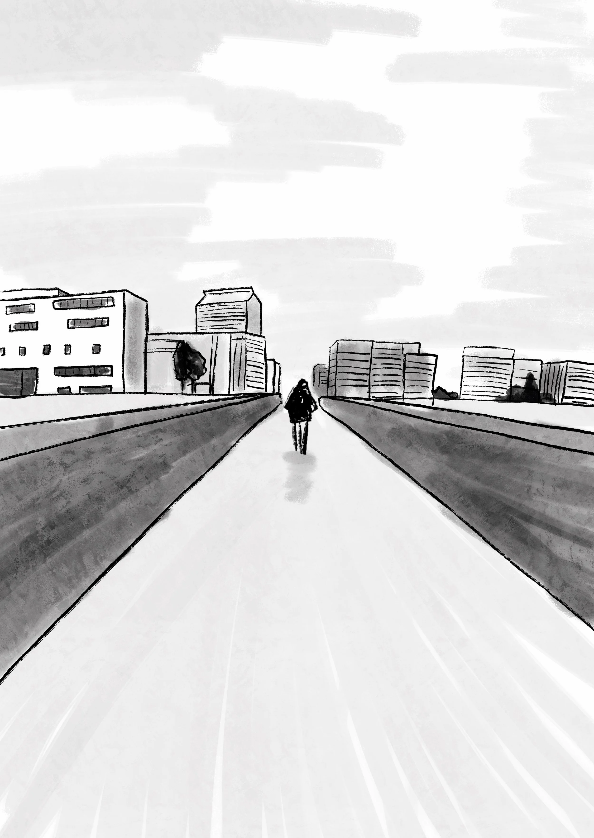 chemin_sm.jpg