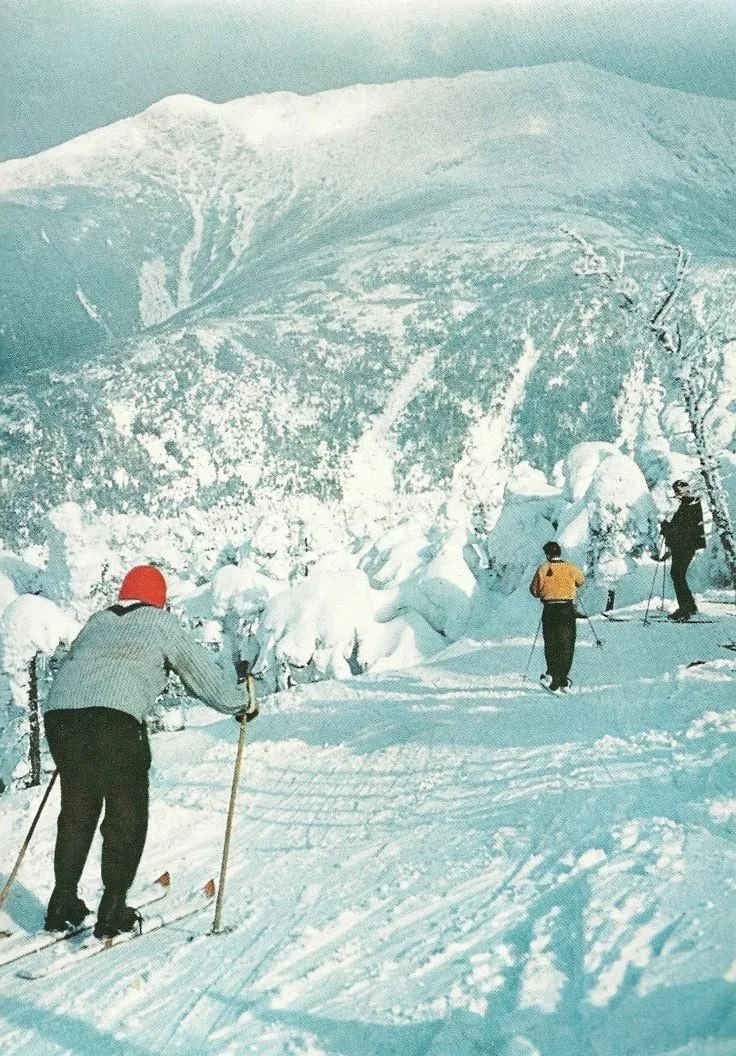 Des skieurs progressent dans un paysage enneigé avec une montagne en arrière-plan, entourés de arbres couverts de neige.