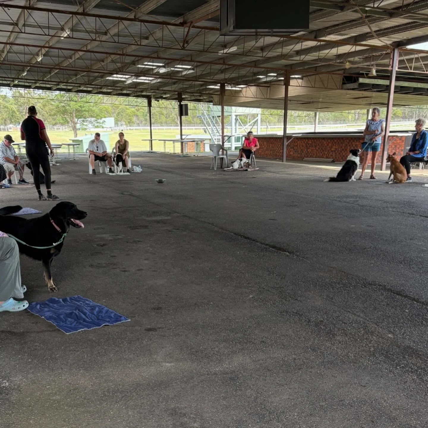 Thanks to everyone who came along to our Dog Skills Taster session today !! A great morning with 12 super keen dogs and handlers 🥰🥰 #dogtraining #dogclass #rewardbasedtraining #happydog #dogsofinstagram #dogsofkempsey