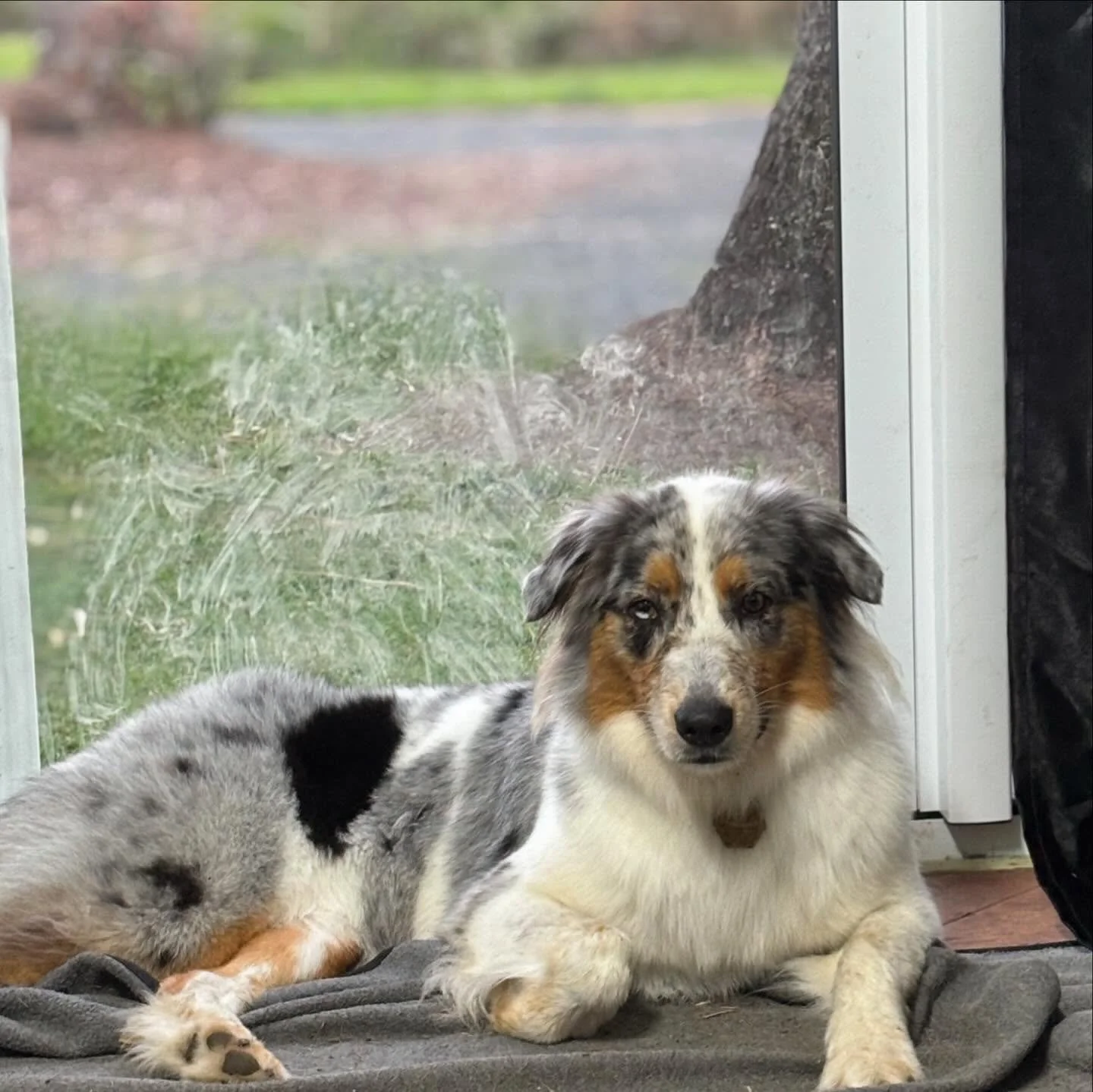 Welcome Ayla, and welcome back Zeb 🥰🥰 Our weekend guests 🥰