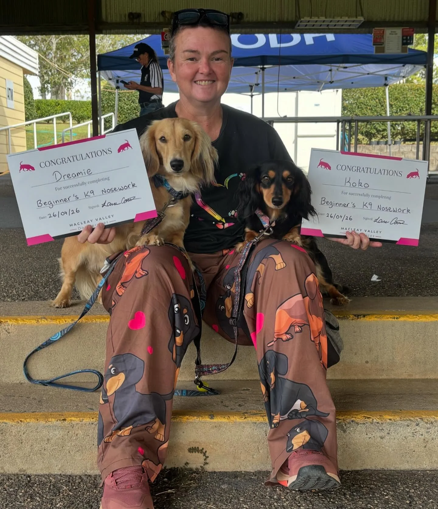 CON-GRADUATION to these awesome sniffers !!!! SO SO SO excited to see these teams graduate !!! Congrats to Elke and Koko/Dreamie, Nicole and Sterling, Michelle/Charli and Poppy, &amp; Kelli and Xena, for completing their Beginner&rsquo;s K9 Nosework 