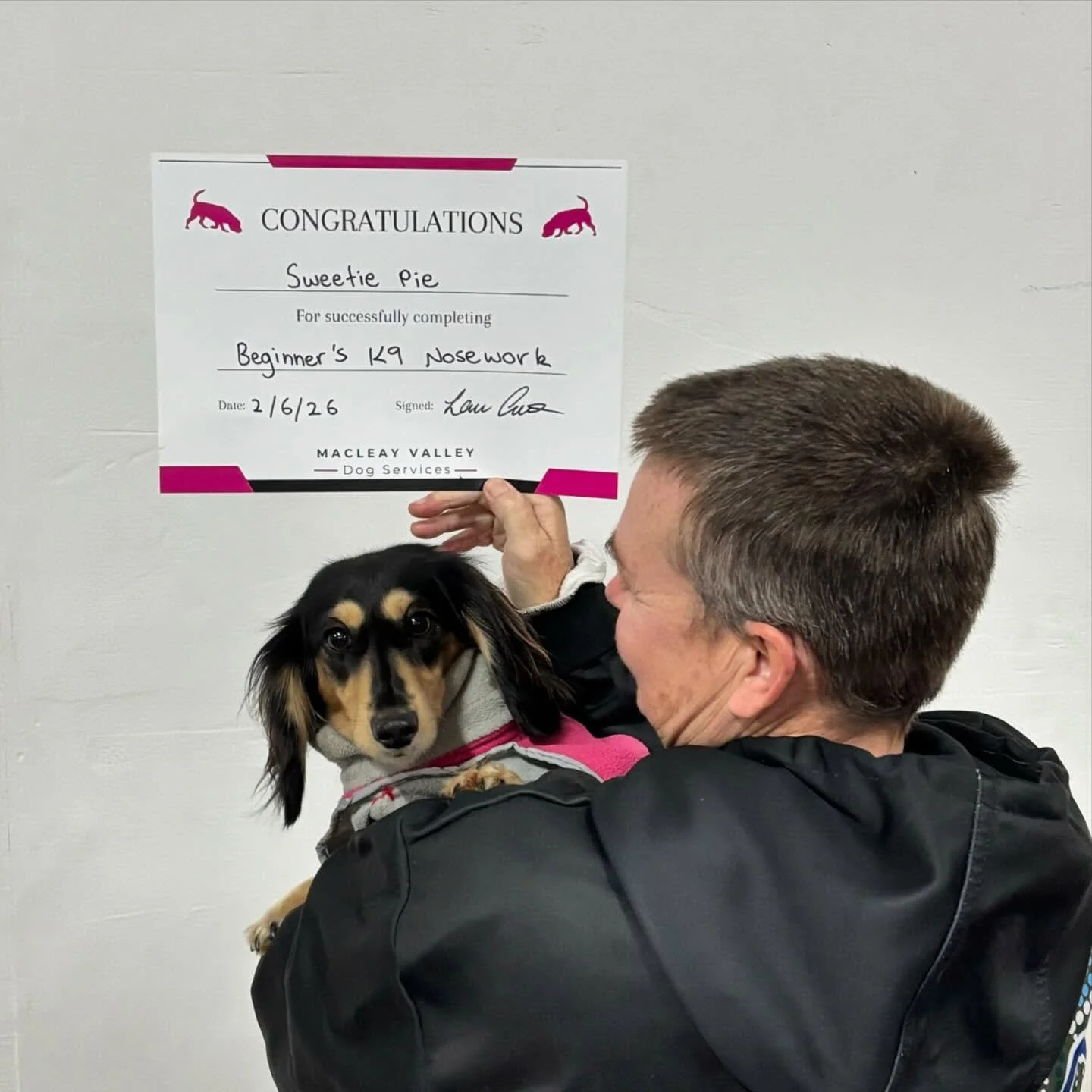 CON-GRADUATION to these awesome little sniffers !! It&rsquo;s been such fun seeing your babies learn to love the nosework game over the last 6 weeks !! 

Well done to Elke and Sweetie Pie, Kim and Nova, Charlie and Lil Red, Alicia and Kiki, Alex and 