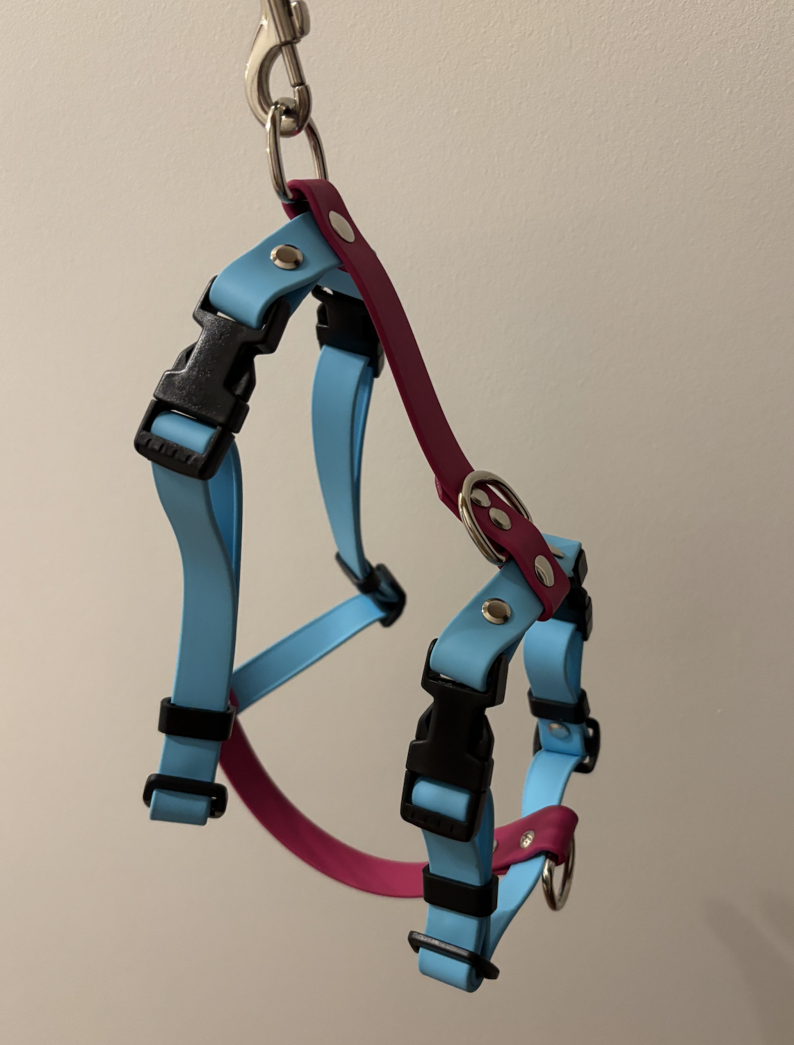 Biothane Y-Front Harness