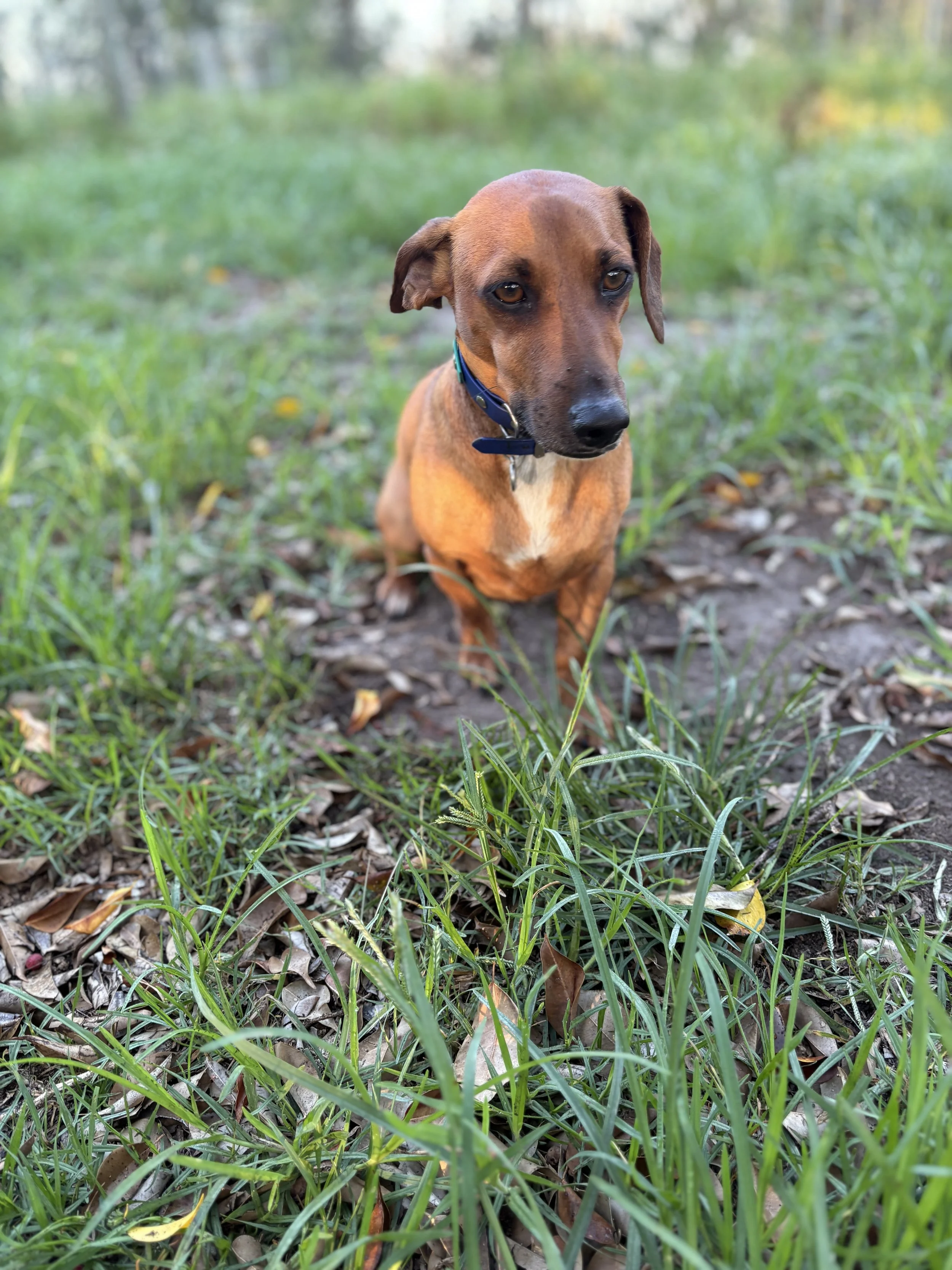 IMG_3692.jpeg