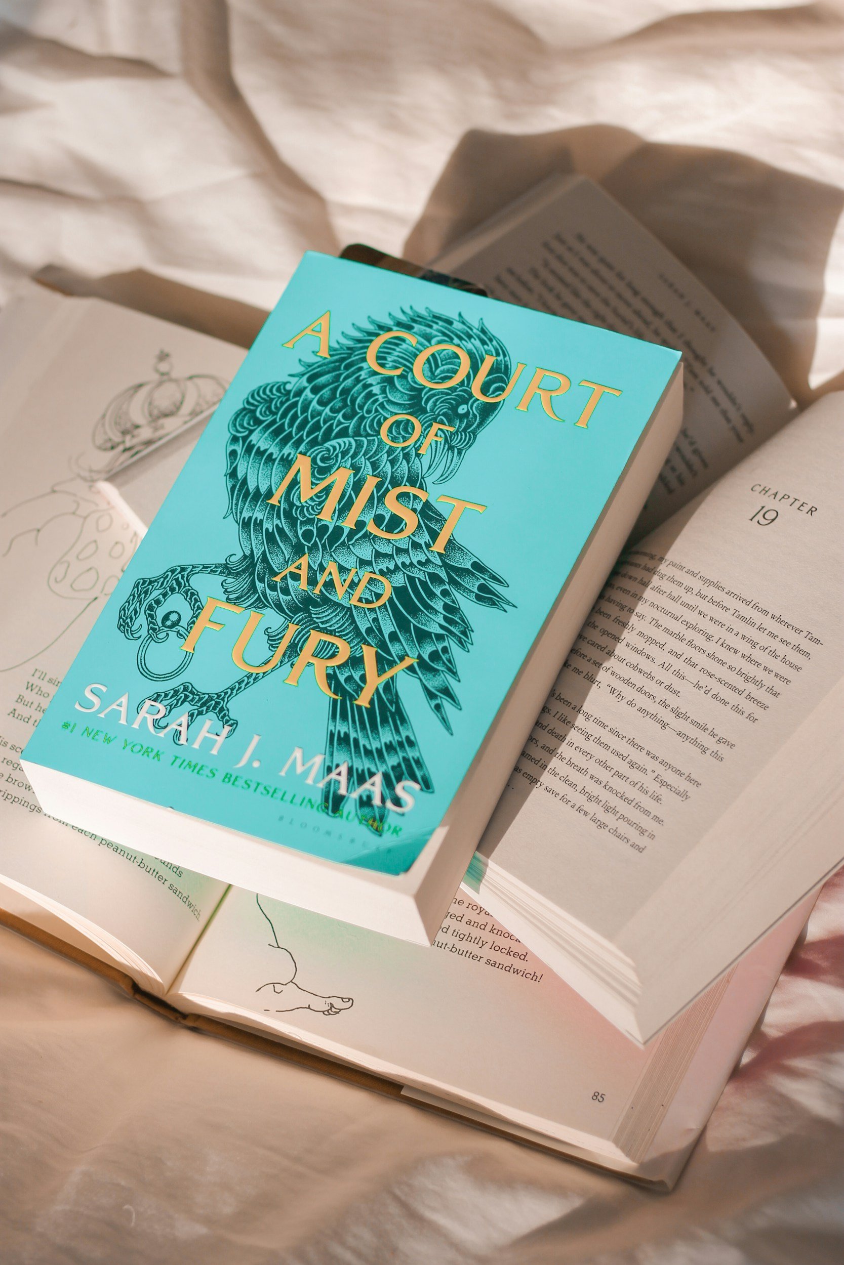 2025 Reading Wrap Up!