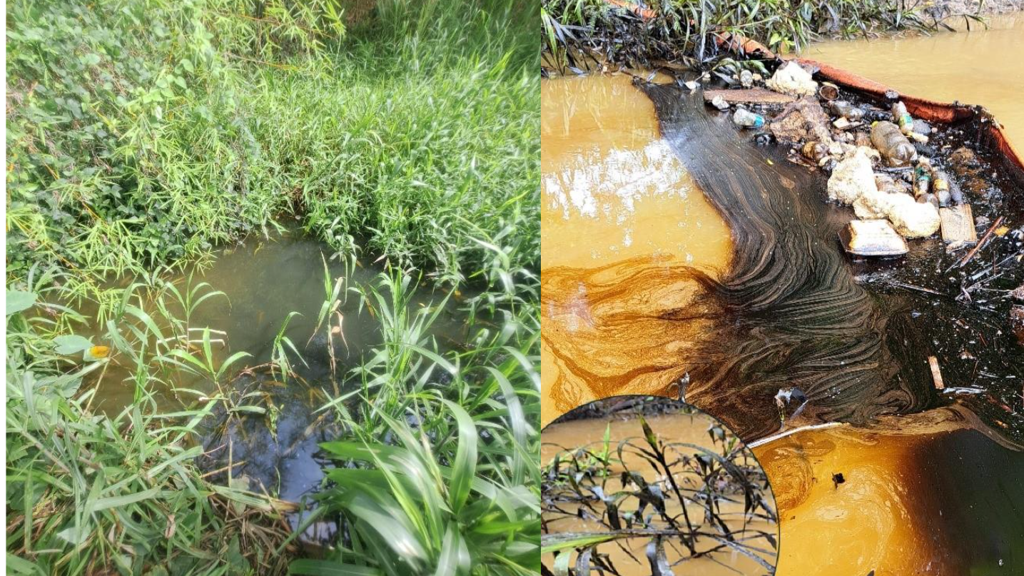 Researcher Spotlight - Hannah