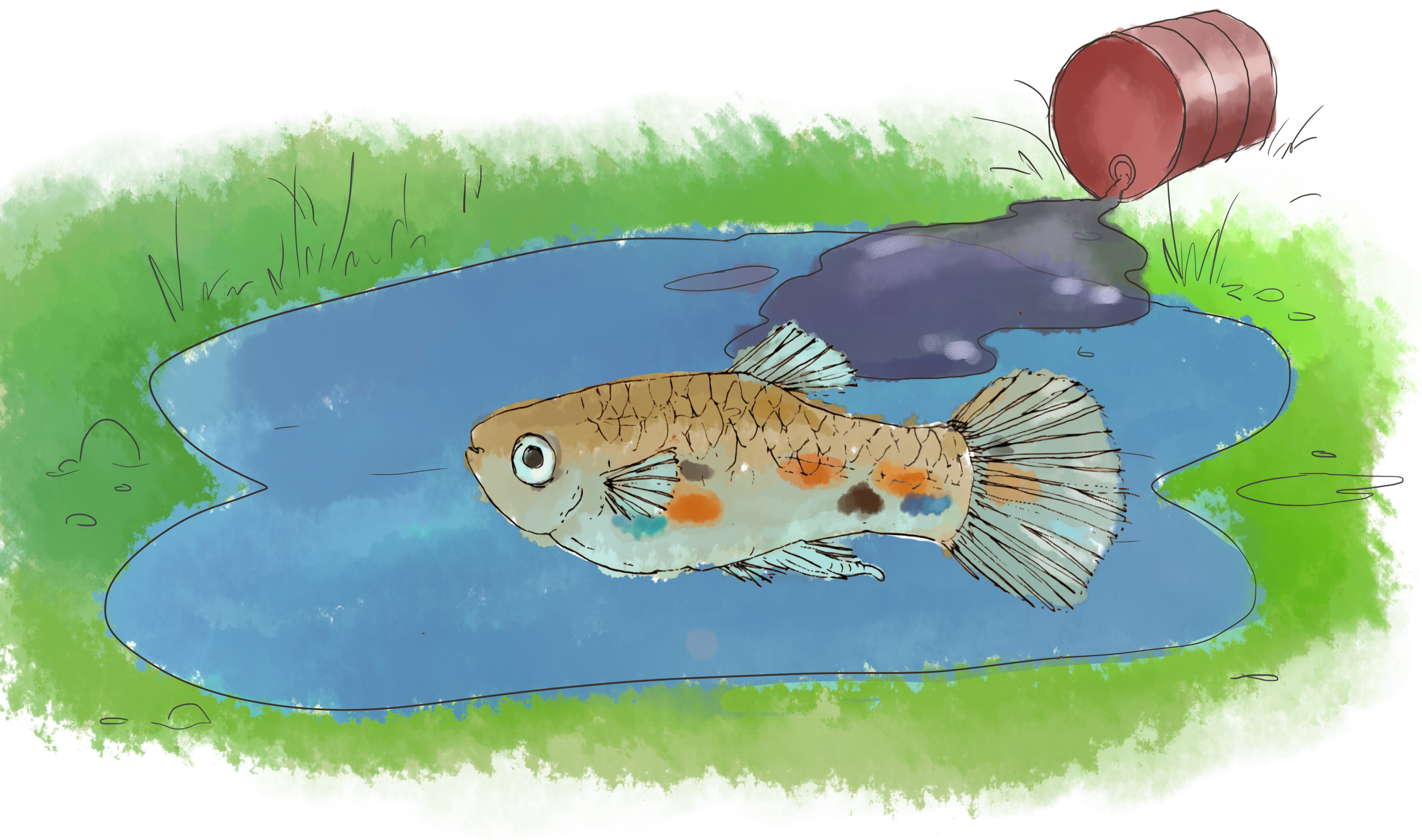 ‘Pond Doctors’