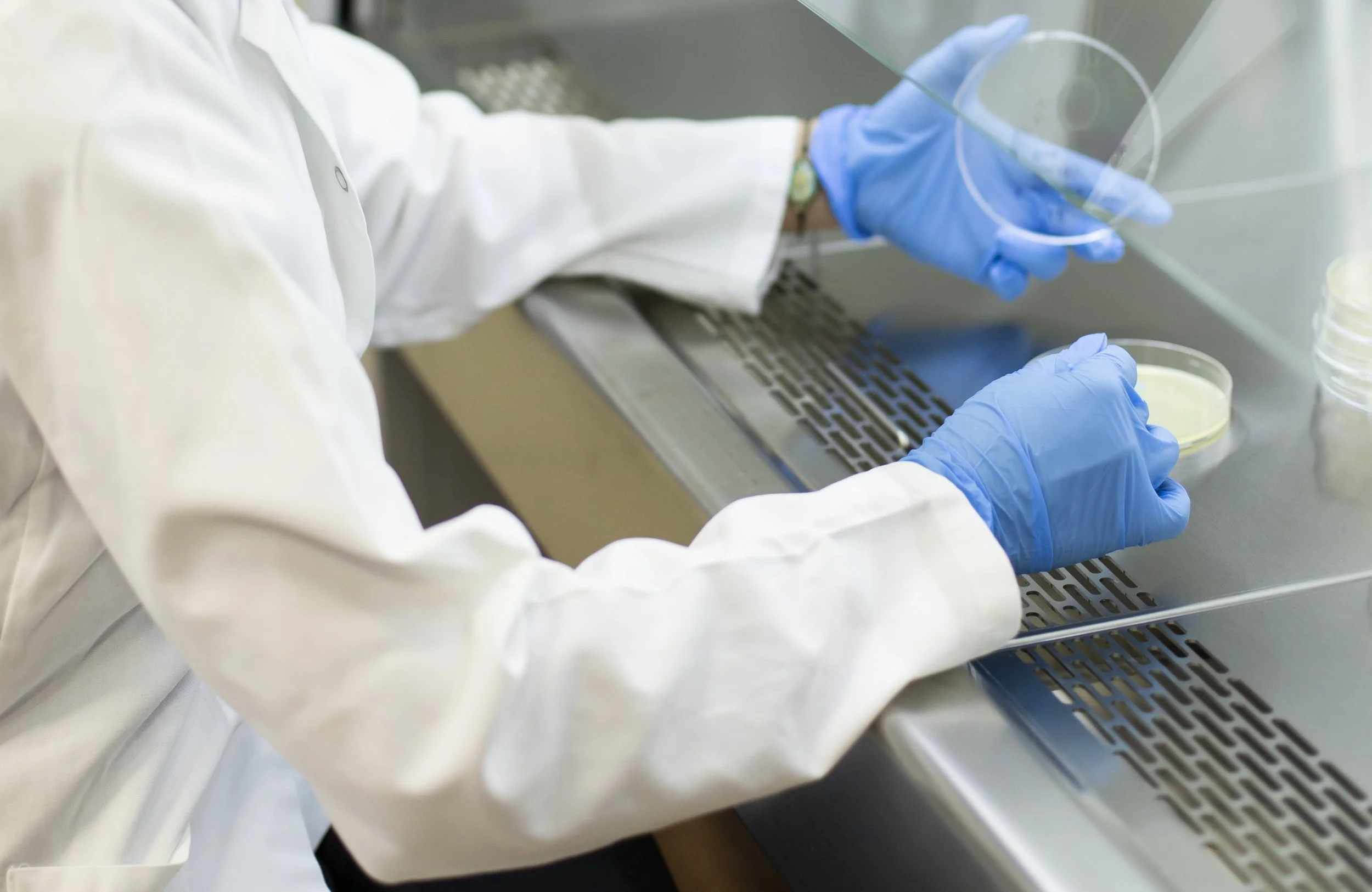A scientist in a laboratory wearing a white lab coat and blue gloves handling a petri dish, working at a workbench.