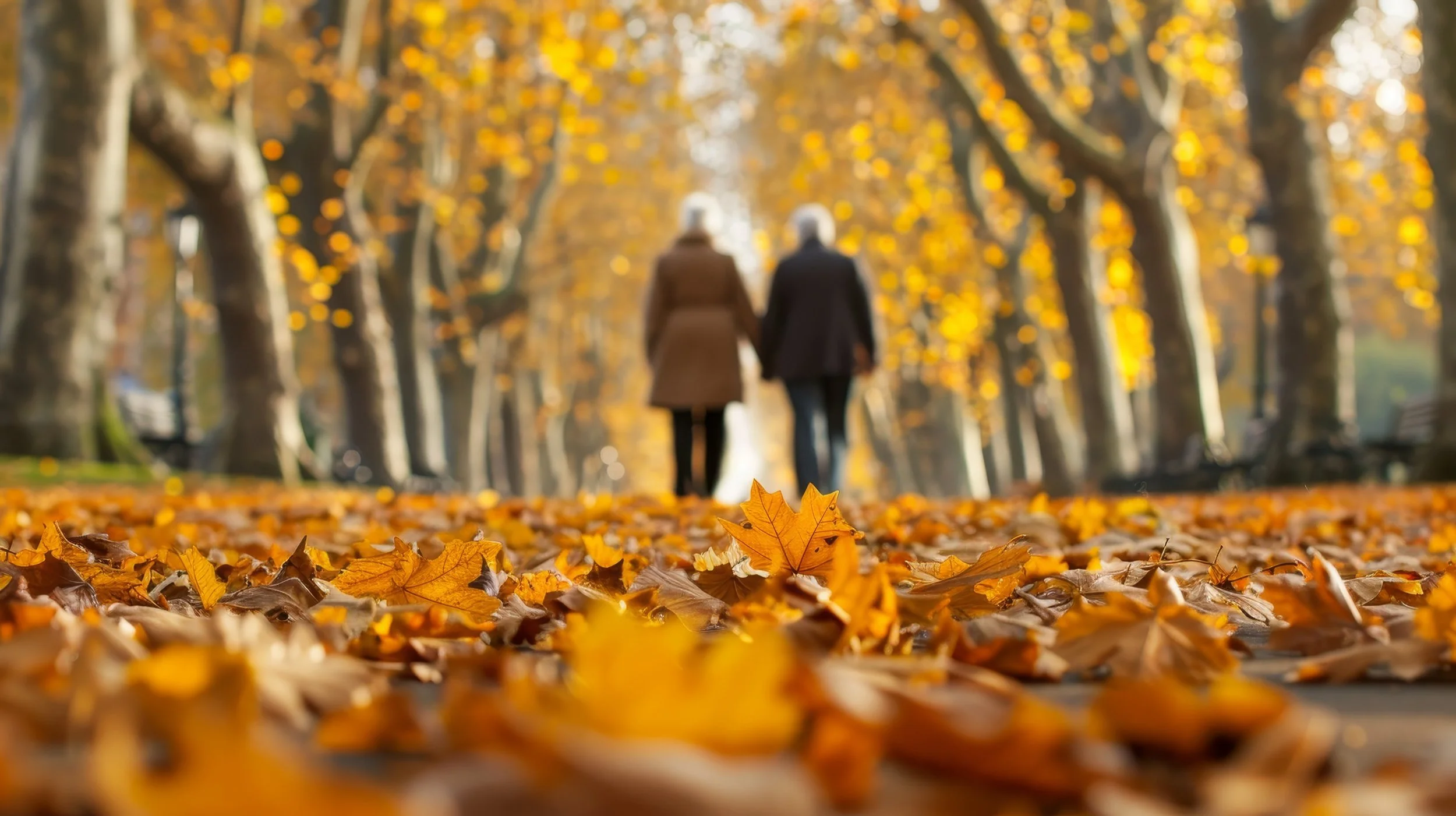 Autumn scene in a park with fallen leaves on the ground, two people walking hand in hand down a tree-lined pathway with leaves in shades of yellow and orange.