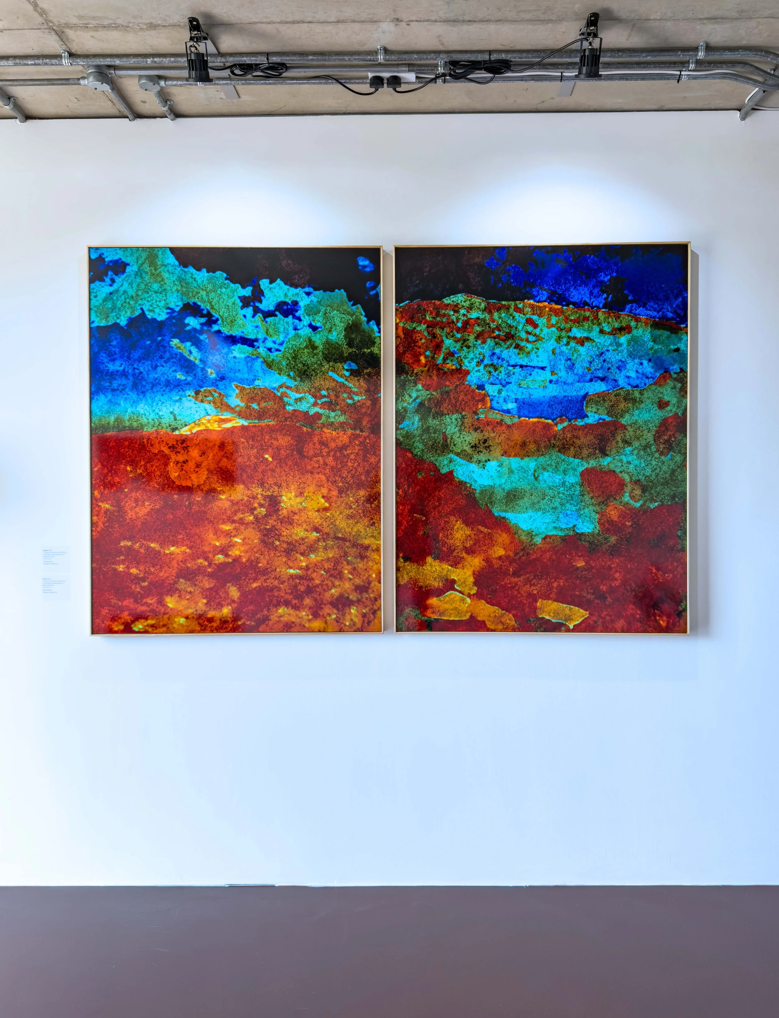 Diptych: Mound, (2025). Portal, (2025).
C-Type Print (Fujicolor Crystal Archive Pearl Paper), from digital image on Dibond, Ash frame.
Each 134 × 101 cm